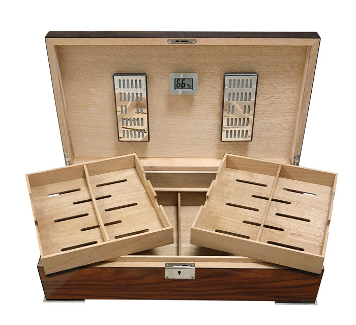 Salvador Humidor